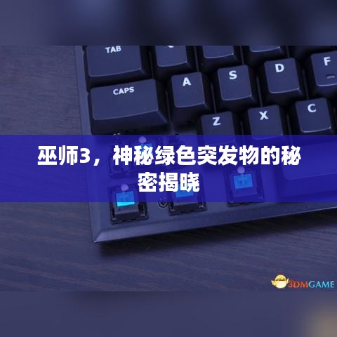 巫师3,神秘绿色突发物的秘密揭晓