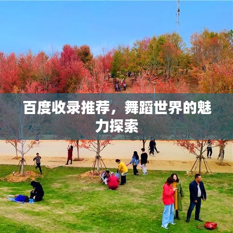 百度收录推荐，舞蹈世界的魅力探索