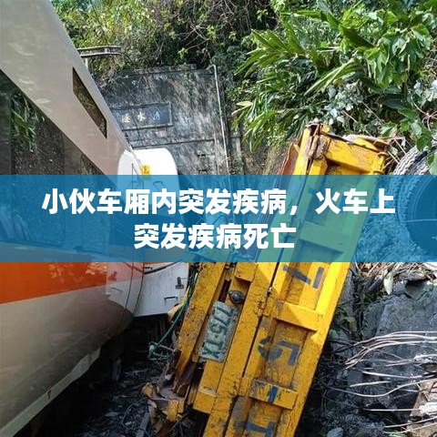 小伙车厢内突发疾病,火车上突发疾病死亡