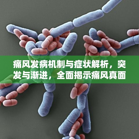 痛风发病机制与症状解析,突发与渐进,全面揭示痛风真面目!