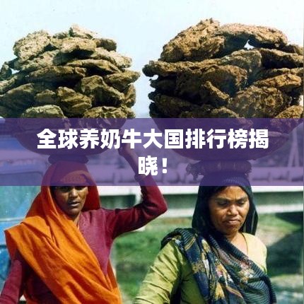 全球养奶牛大国排行榜揭晓！