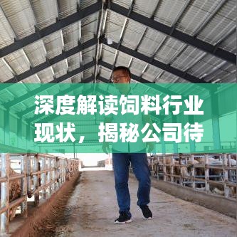 深度解读饲料行业现状，揭秘公司待遇排名及未来趋势