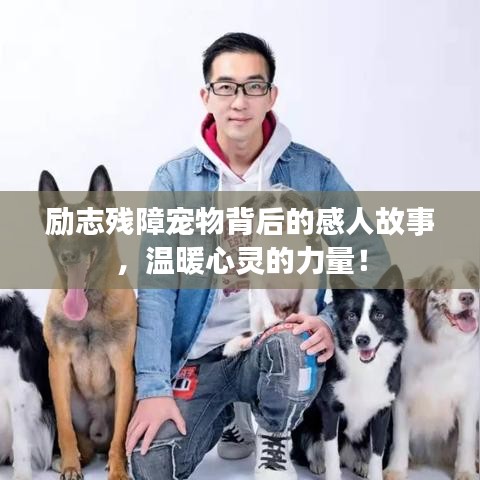 励志残障宠物背后的感人故事,温暖心灵的力量!