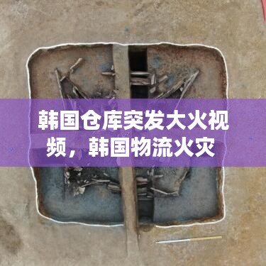 六鹢退飞 第6页