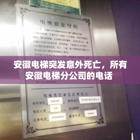 安徽电梯突发意外死亡,所有安徽电梯分公司的电话