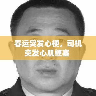 沙发手机管家官方下载,专业版v6.405的全面解析与免费替代品对比