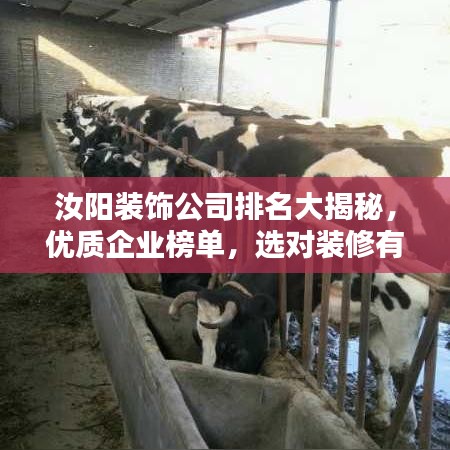 汝阳装饰公司排名大揭秘，优质企业榜单，选对装修有保障！