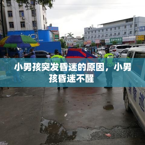 小男孩突发昏迷的原因，小男孩昏迷不醒 