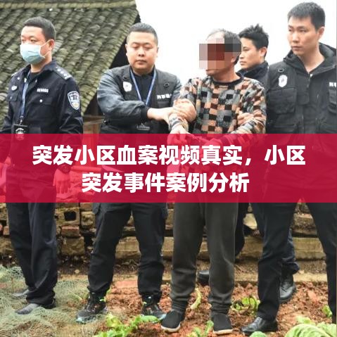突发小区血案视频真实,小区突发事件案例分析