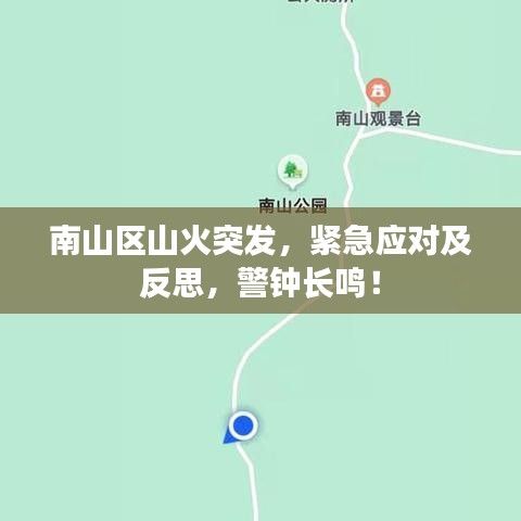 南山区山火突发，紧急应对及反思，警钟长鸣！