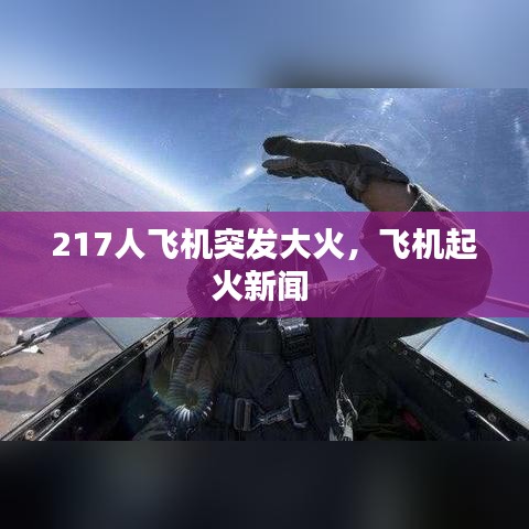 217人飞机突发大火，飞机起火新闻 