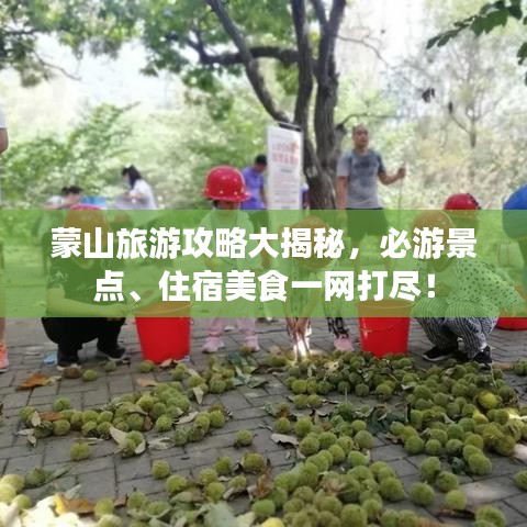 蒙山旅游攻略大揭秘，必游景点、住宿美食一网打尽！
