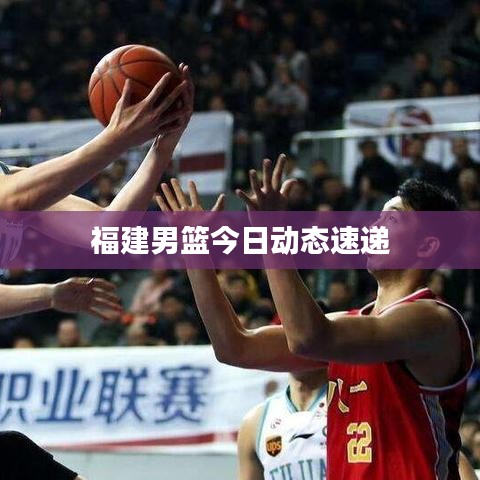 福建男篮今日动态速递