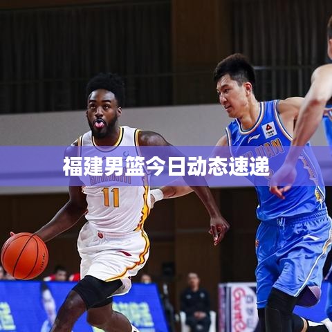 福建男篮今日动态速递