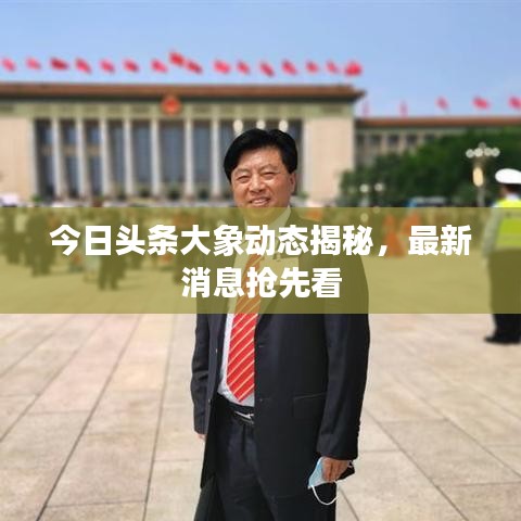 今日头条大象动态揭秘，最新消息抢先看