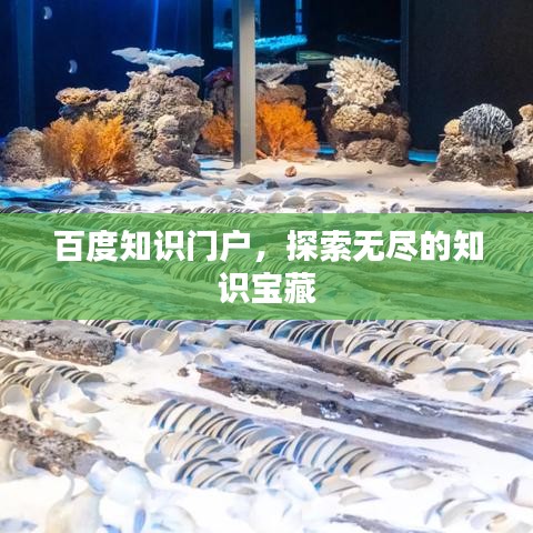 百度知识门户，探索无尽的知识宝藏