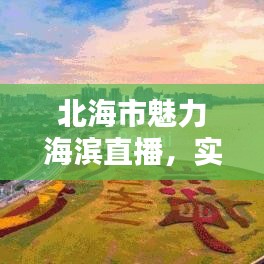 北海市魅力海滨直播,实时探索城市动态,今日最新直播视频不容错过!