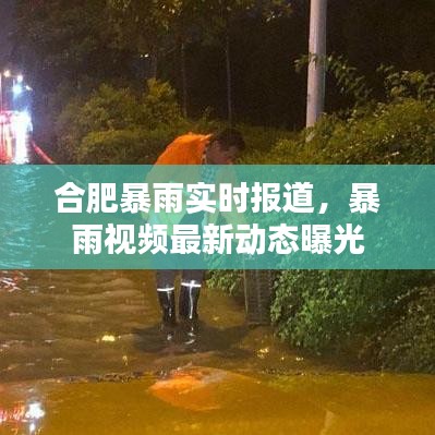 合肥暴雨实时报道,暴雨视频最新动态曝光