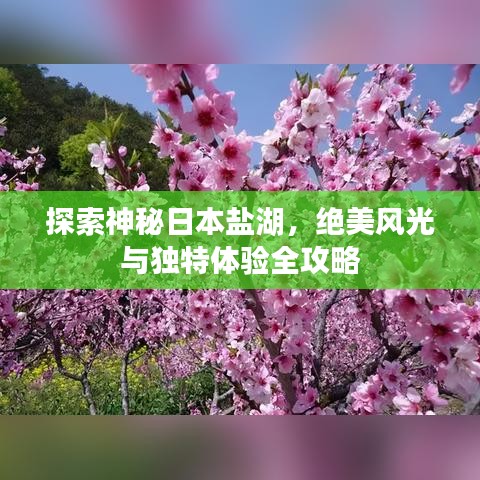 探索神秘日本盐湖,绝美风光与独特体验全攻略