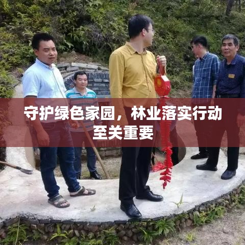 守护绿色家园,林业落实行动至关重要