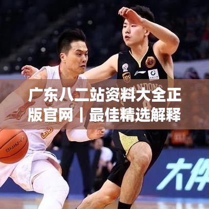 广东八二站资料大全正版官网｜最佳精选解释定义