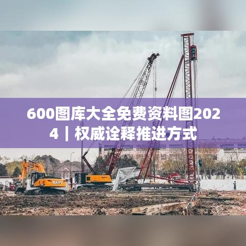 600图库大全免费资料图2024｜权威诠释推进方式