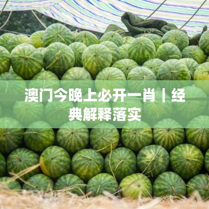 澳门今晚上必开一肖｜经典解释落实