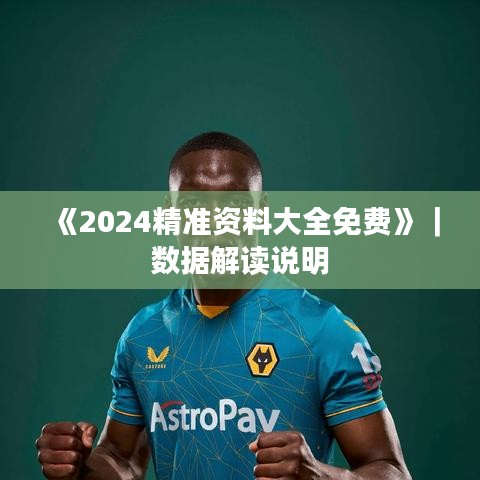 《2024精准资料大全免费》|数据解读说明