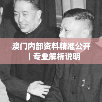 澳门内部资料精准公开｜专业解析说明