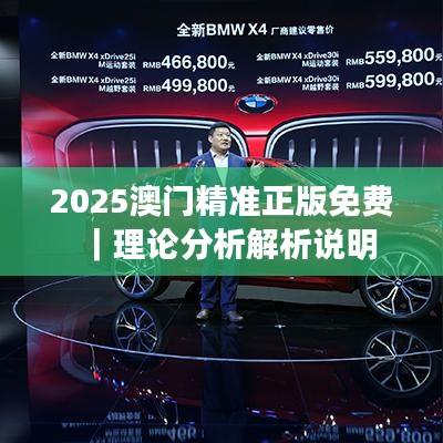 2025澳门精准正版免费｜理论分析解析说明