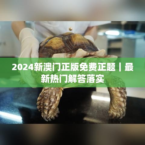 2024新澳门正版免费正题｜最新热门解答落实