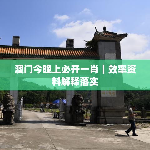 澳门今晚上必开一肖｜效率资料解释落实