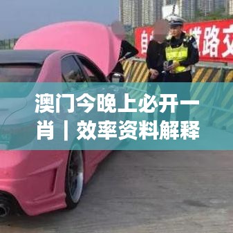 澳门今晚上必开一肖|效率资料解释落实