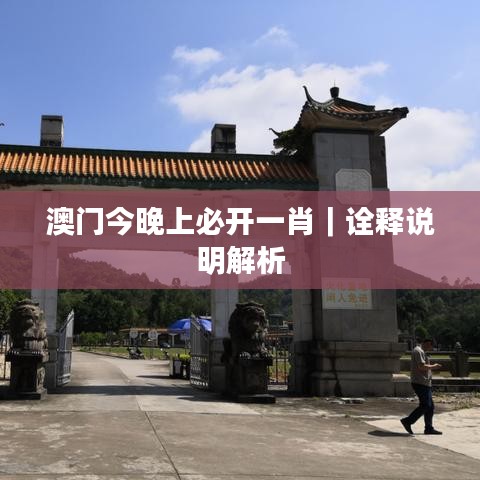 澳门今晚上必开一肖|诠释说明解析