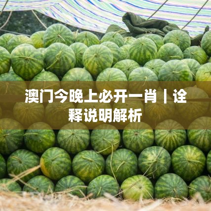 澳门今晚上必开一肖｜诠释说明解析