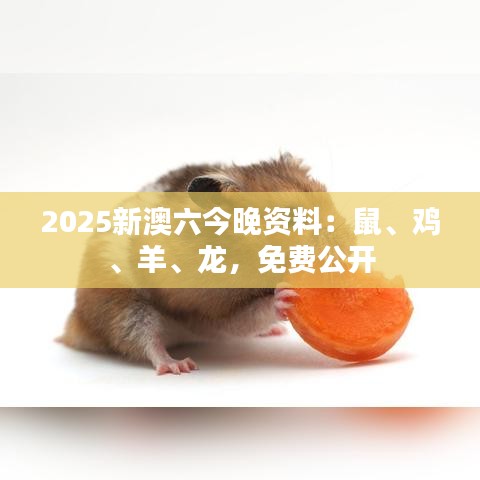 2025新澳六今晚资料：鼠、鸡、羊、龙，免费公开