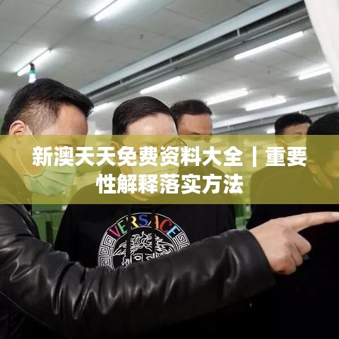 新澳天天免费资料大全｜重要性解释落实方法