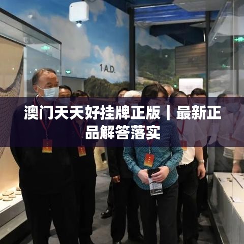 澳门天天好挂牌正版|最新正品解答落实