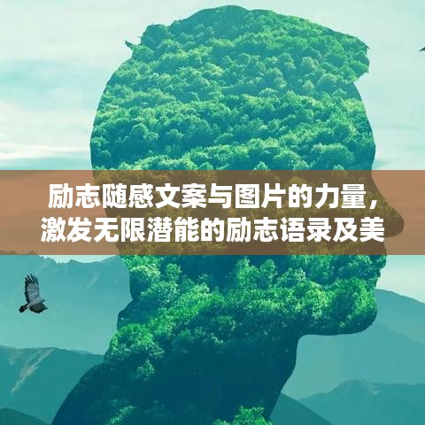 励志随感文案与图片的力量,激发无限潜能的励志语录及美图欣赏