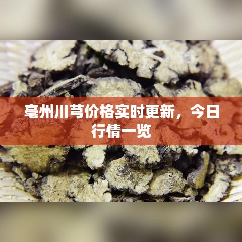 亳州川芎价格实时更新，今日行情一览