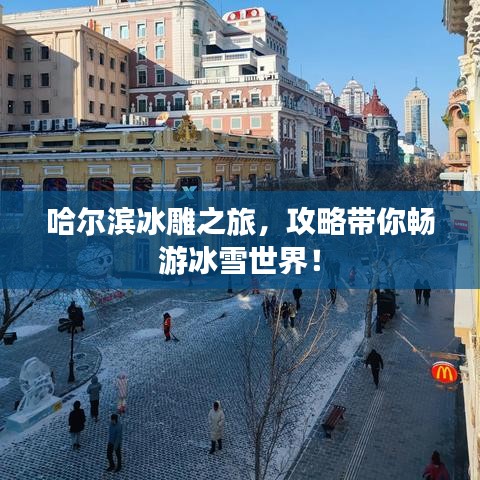 哈尔滨冰雕之旅,攻略带你畅游冰雪世界!