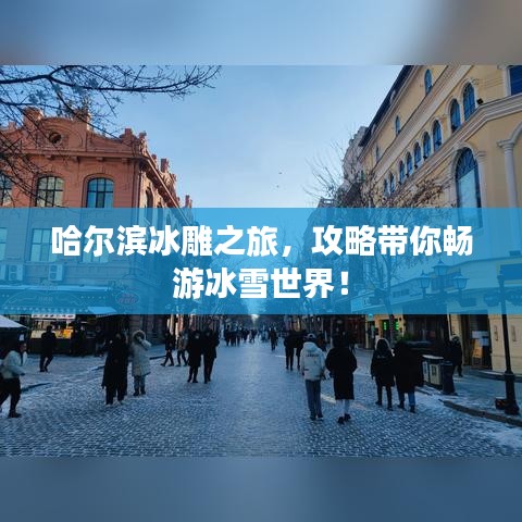 哈尔滨冰雕之旅,攻略带你畅游冰雪世界!