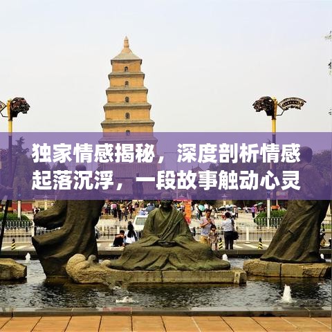 独家情感揭秘,深度剖析情感起落沉浮,一段故事触动心灵在线阅读