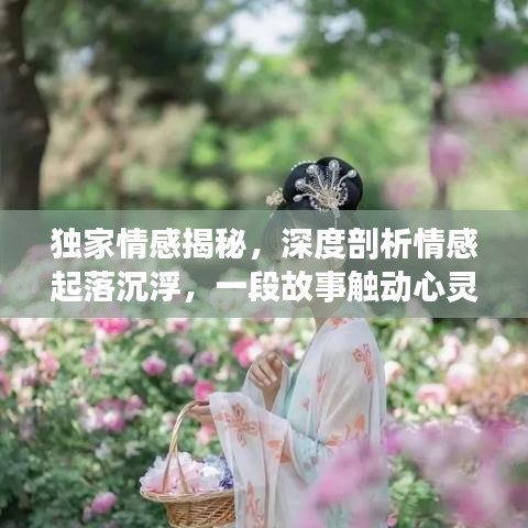 独家情感揭秘，深度剖析情感起落沉浮，一段故事触动心灵在线阅读
