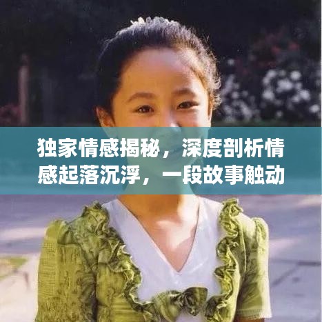 独家情感揭秘,深度剖析情感起落沉浮,一段故事触动心灵在线阅读