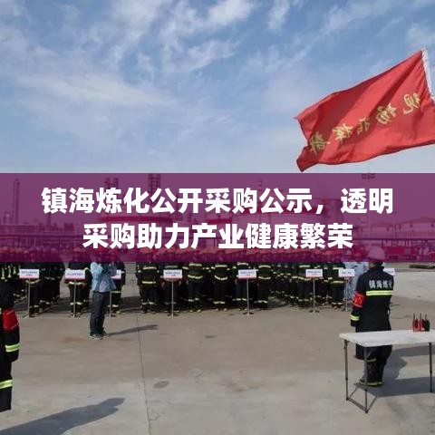 镇海炼化公开采购公示,透明采购助力产业健康繁荣