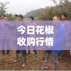 集结号游棋牌官方下载和热血单机ol激活码,全面数据分析方案 限量款_v5.637