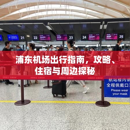 网络安全顾问深度解析，旋风手游与最新黑桃棋牌官方下载软件的全面安全防护能力