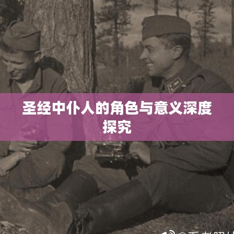 圣经中仆人的角色与意义深度探究