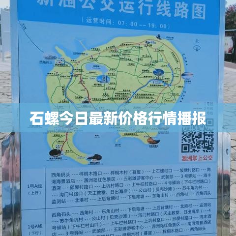 石螺今日最新价格行情播报